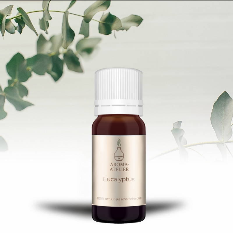 Eucalyptus - 10 Ml - 100% Natuurzuivere Etherische Olie