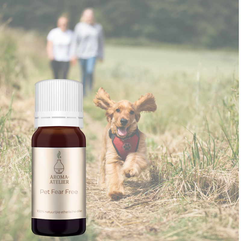 trouwe viervoeter bundel 4 oliën 10ml
