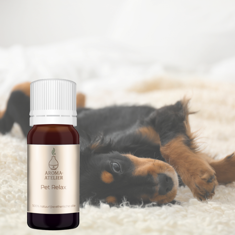 trouwe viervoeter bundel 4 oliën 10ml