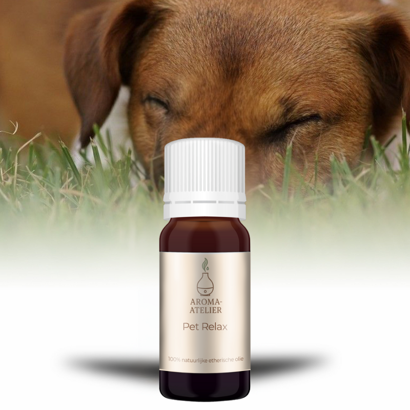 trouwe viervoeter bundel 4 oliën 10ml