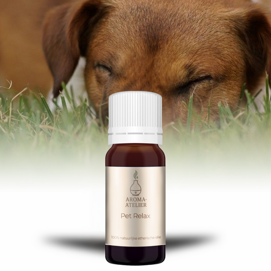Pet Relax (Dog) - 10 Ml - 100% Natuurzuivere Etherische Olie
